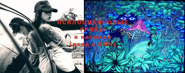 бутират Алексеевка