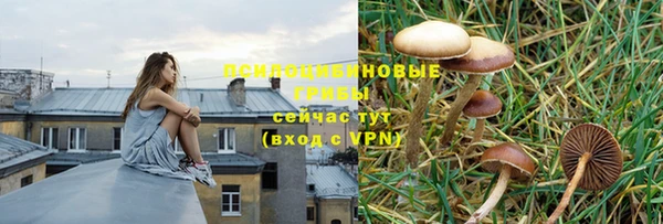 спайс Алзамай