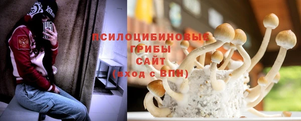 спайс Алзамай