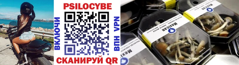 Галлюциногенные грибы мицелий купить закладку Рыбное